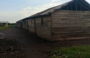Build Safe Classrooms for Congo's Children