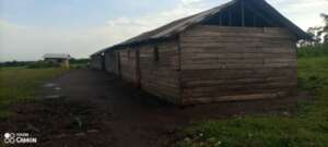 Build Safe Classrooms for Congo's Children