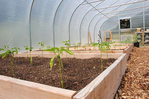 Kids Farm 1