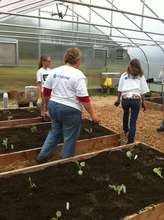 Global Volunteer Day 2
