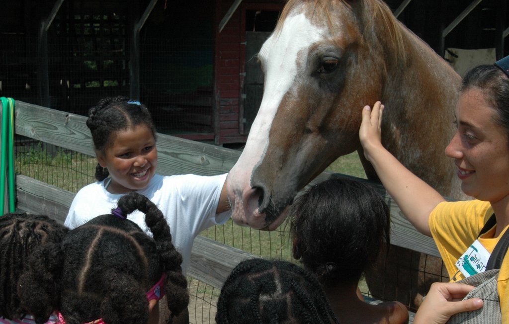 Kids Farm
