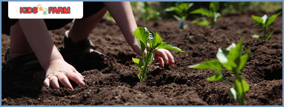 Kids Farm