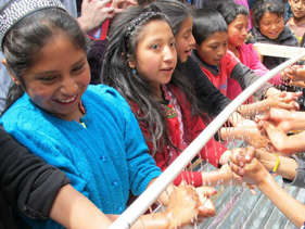Tippy Tap projects
