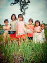 Children collect mushrooms on HALO cleared ground