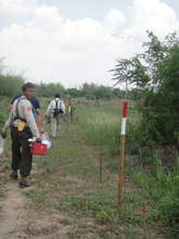 Walking along the minefields