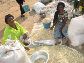 PMI Clients selling dry corn in Butembo DR Congo