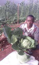 Presence Mutundi with cauliflowers from his garden