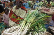 Micro Loans to rebuild lives in Eastern D.R. Congo