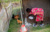 Train 30 Vulnerable Women in Homa Bay, Kenya