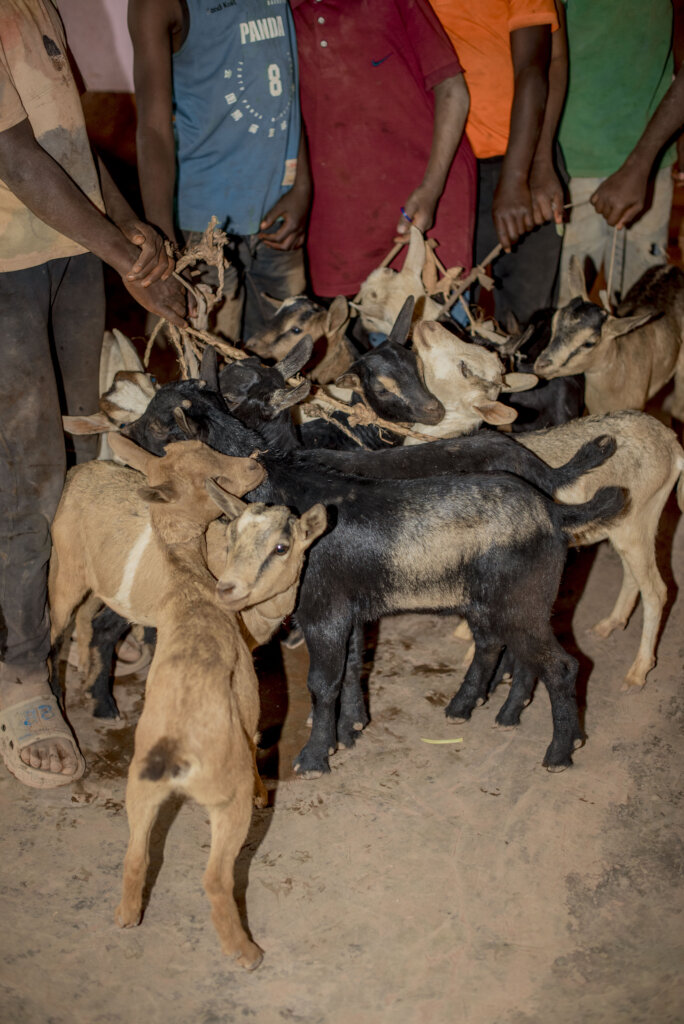 Support Elderly Livelihoods in Kabare