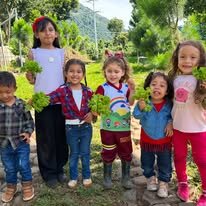 Regenerate Farmland at Casa Conejo, El Salvador