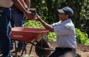 Regenerate Farmland at Casa Conejo, El Salvador