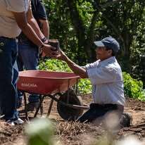 Regenerate Farmland at Casa Conejo, El Salvador