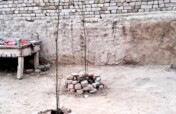 Planting 1000 Trees for a Greener South Punjab