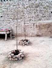 Planting 1000 Trees for a Greener South Punjab