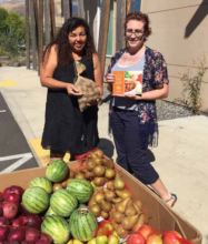 Monthly produce improves lives in Celilo Village