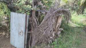Transforming Huts into Homes