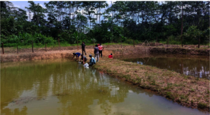 Fish Farming: Introducing the Fish