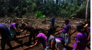 Preparing for Coffee Production
