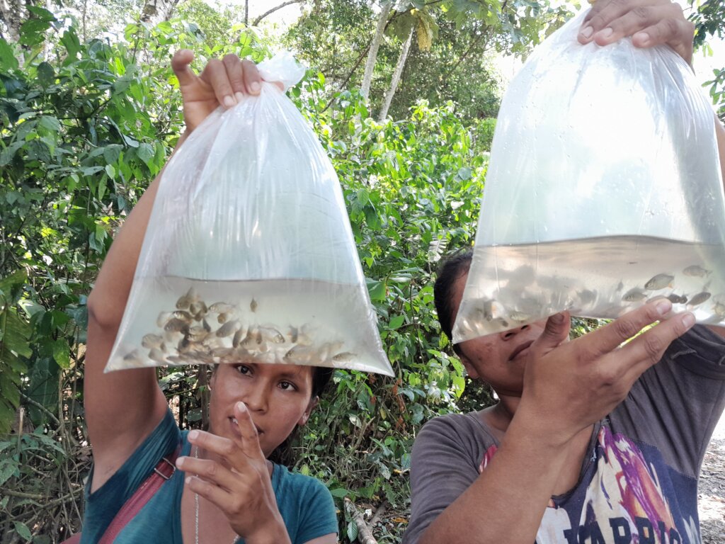 100+ Kichwa Women Gaining Livelihoods in Ecuador