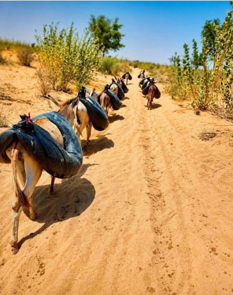 Solar based water Pump in Thar (Sindh)