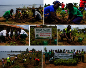 Restore Majanji Landing Site Through Community Tre