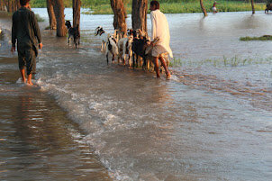 Emergency Appeal Flood-Affected Children in Pak