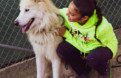 Care for 22 Rescued Wolf-Dogs in California