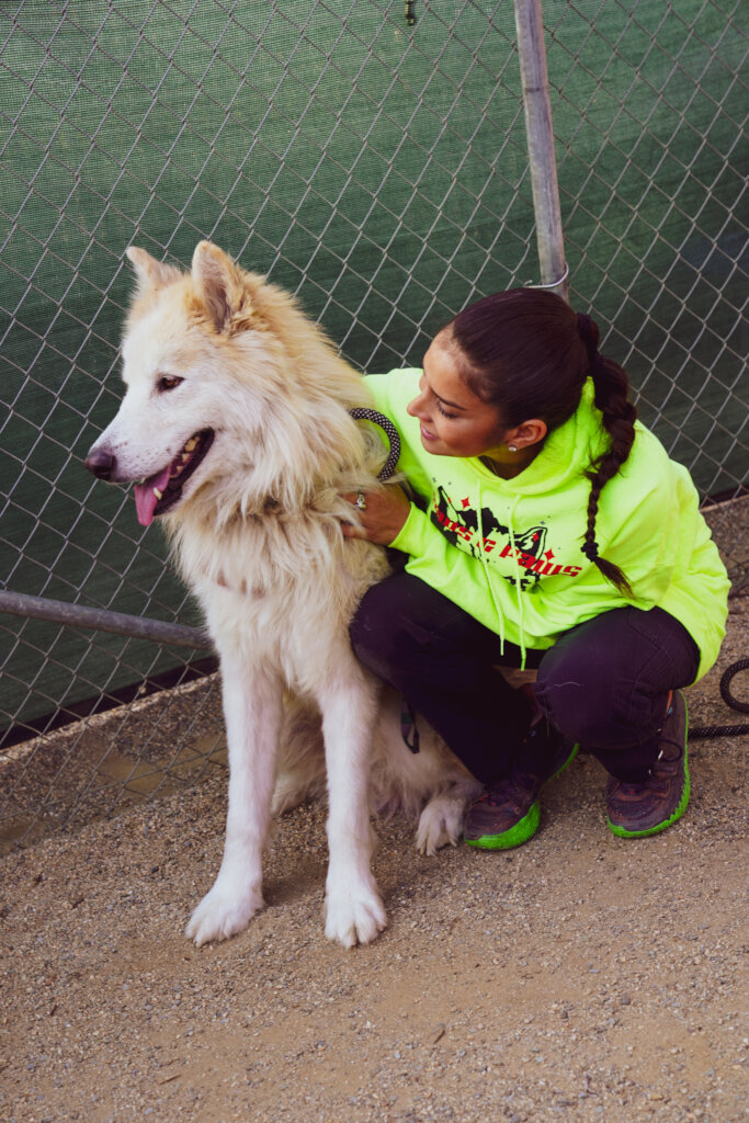 Care for 22 Rescued Wolf-Dogs in California