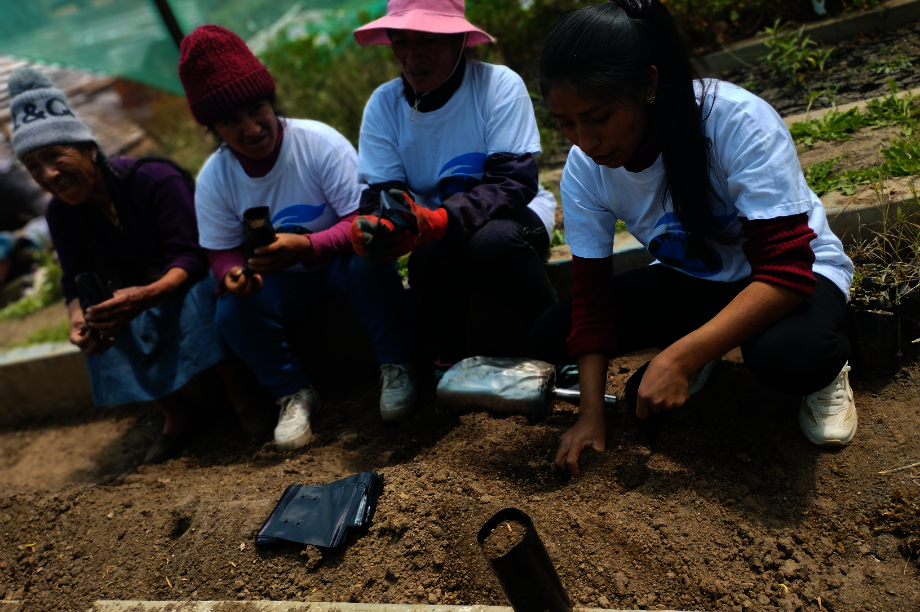 Help Rural Families Restore Forests in Choras