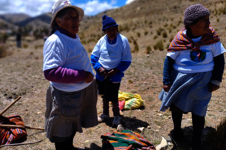 Help Rural Families Restore Forests in Choras