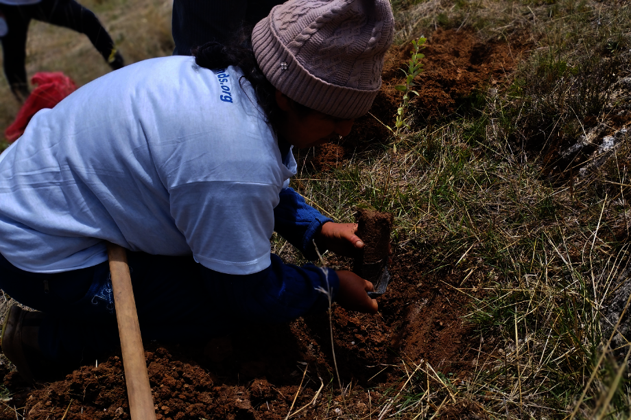 Help Rural Families Restore Forests in Choras