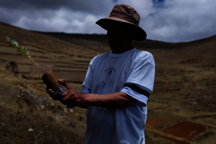Help Rural Families Restore Forests in Choras