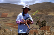 Help Rural Families Restore Forests in Choras logo