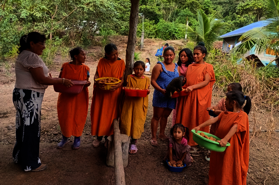 Strengthen Food Security in Rural Peru