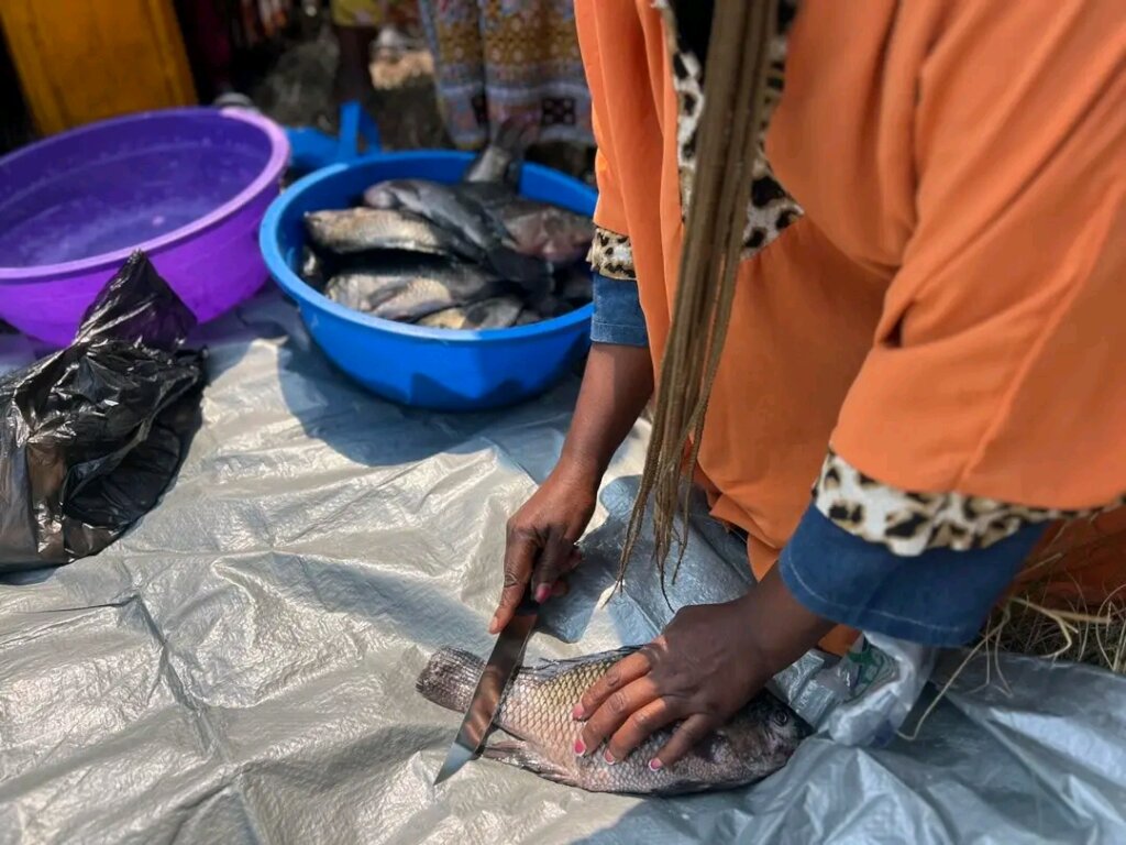 Creating Salted Fish Products in Eastern DRC