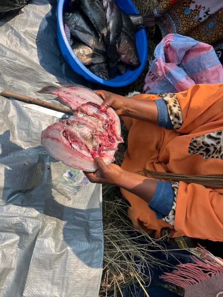 Creating Salted Fish Products in Eastern DRC