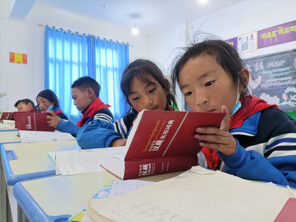 Give a Dictionary to a Child in the Countryside