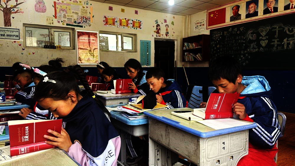 Give a Dictionary to a Child in the Countryside