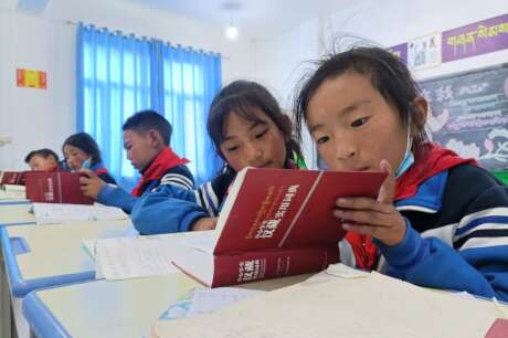 Give a Dictionary to a Child in the Countryside