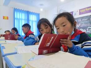 Give a Dictionary to a Child in the Countryside