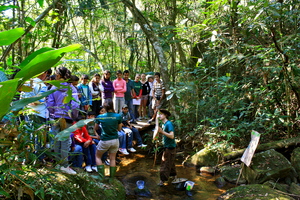 forest water monitoring
