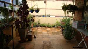 This is my urban farm