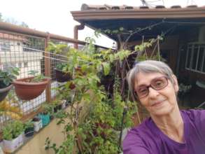 Youd never guess I live in an apartment!