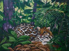 Examples to inspire Junior Scientists