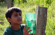 Junior Scientists Restoring Brazil's Rainforest