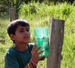 Junior Scientists Restoring Brazil's Rainforest