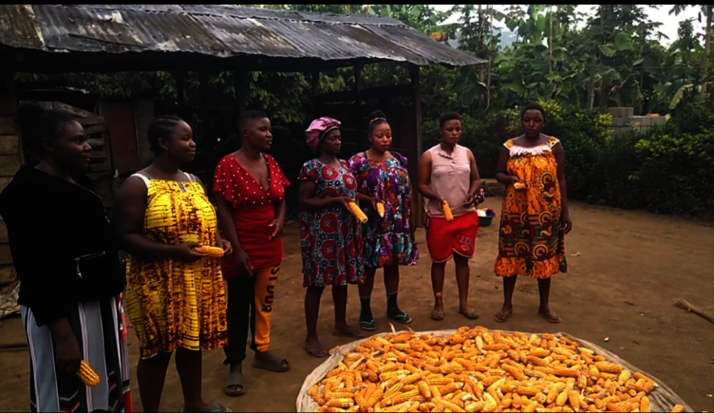 Food baskets and food systems in conflict zone