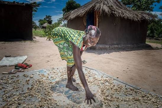 Poverty Eradication Action Plan in Uganda