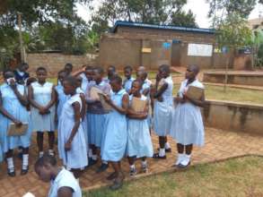 pupils going through survey forms